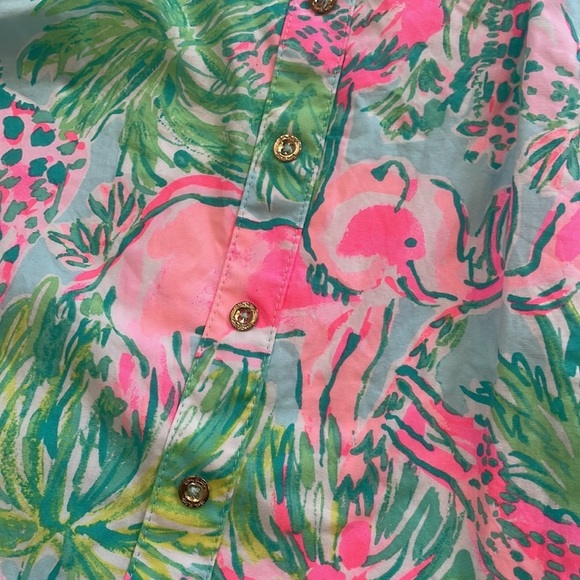 Lilly Pulitzer Pink and Green Easton Dress - Picture 9 of 15